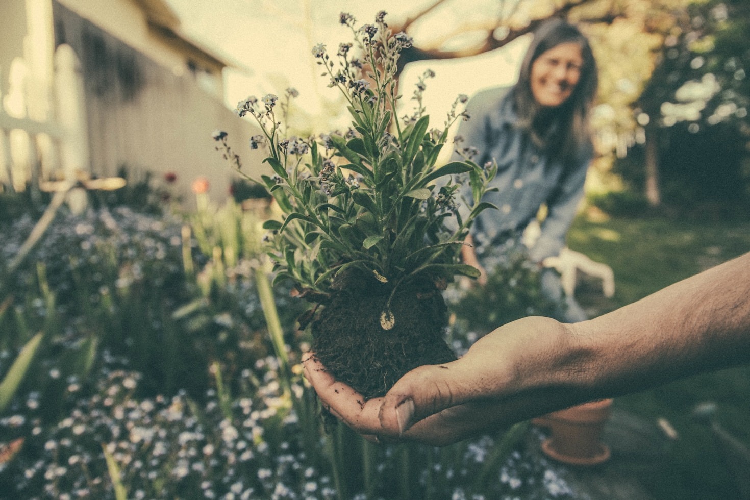 Seasonal Gardening Tips to Keep Your Yard Flourishing