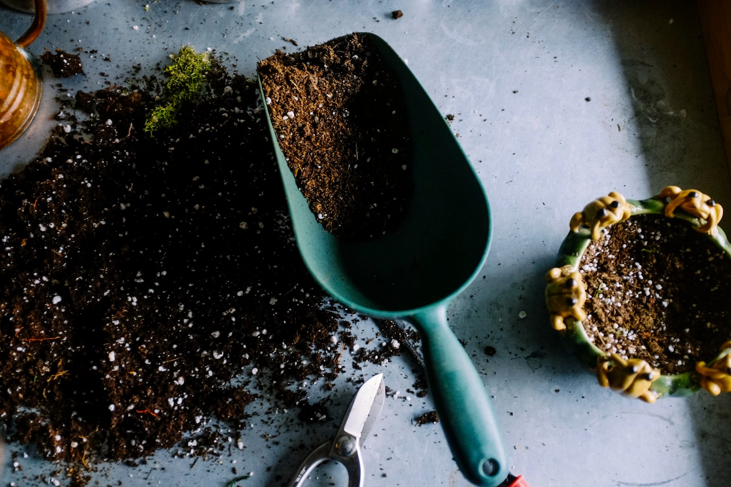 The Secret to a Perfectly Landscaped Garden